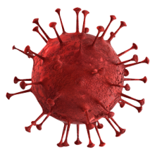 virus
